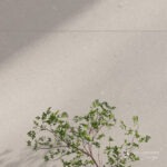 San Lorenzo Design - Metropolis Off White